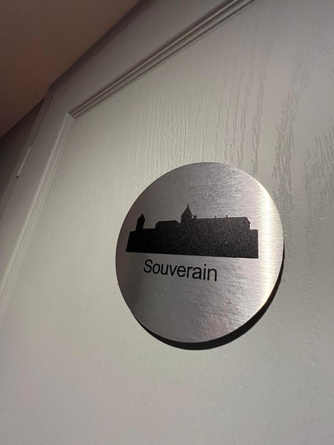 Le Petit Chateau Baye  Exteriér fotografie